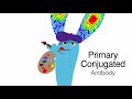 Invitrogen Primary Conjugated Antibody, a new source of artistic inspiration for your flow cytometry