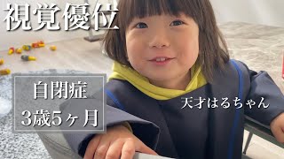 【自閉症】一般幼稚園に通って３週間の幼稚園の様子にママの心が揺れる…【視覚優位】