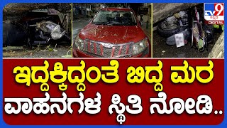 Heavy Rain: ಬೆಂಗಳೂರಿನಲ್ಲಿ ರಾತ್ರಿ ಸುರಿದ ಭಾರೀ ಮಳೆಗೆ ಮಲ್ಲೇಶ್ವರಂನಲ್ಲಿ ಬುಡಸಮೇತ ಬಿದ್ದ ಬೃಹತ್ ಮರ|#TV9B