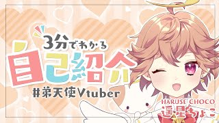 【3分でわかる】はじめまして！弟天使Vtuber、遥星ちょこです！【自己紹介動画】