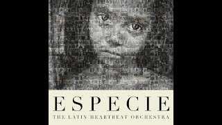 Especie Video Lyric   The Latin HeartBeat Orchestra 1