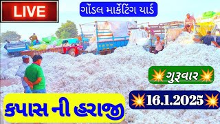 ગોંડલ કપાસ ના બજાર ભાવ /આજના કપાસના ભાવ / નવા કપાસના ભાવ / કપાસના ભાવ / 16.1.2025