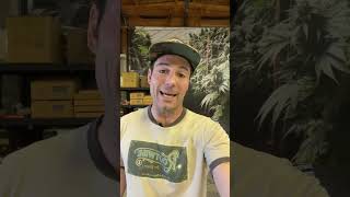 How To Water Living Soil 💦