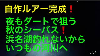 自作ルアーでシーバスゲット❗️浜名湖釣れないからいつもの河川に