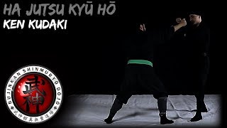 破術九法 Ha Jutsu Kyū Hō - 拳砕 Ken Kudaki | 伝承シリーズ Denshō Series | 忍術 Ninjutsu