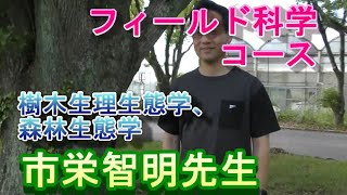 【フィールド科学コース】教員紹介（樹木生理生態学ほか・市栄先生）