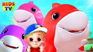Laughing Shark | Baby Shark Song | Nursery Rhymes & Kids Songs | Junior Squad Cartoon