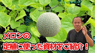 優香メロンの定植に使った資材はこちら！これであなたもメロン作りができますよ！