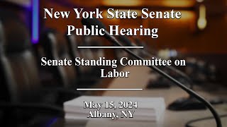 New York State Senate Public Hearing - 05/15/2024