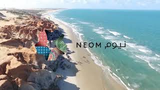 Neom Challenge | Energy Group | UJ