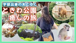 【山口県宇部市】定番★観光スポット「ときわ公園」を宇部出身の夫とのんびりお散歩｜園内の動物園・彫刻・遊園地を満喫【旅Vlog】