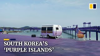 From rice to shoes, these South Korean towns become ‘Purple Islands’