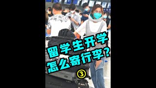 還不知道怎麼寄東西到國外？一站式集運省心省力（下）