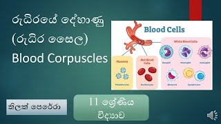 රුධිරයේ දේහාණු රුධිර සෛල Blood Corpuscles