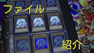 遊戯王   ファイル　紹介　(バニラ)編