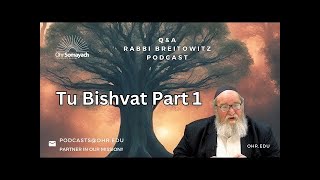 tu beshavat halacha