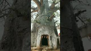 Big hole inside the 🌴 bramham gari gutta in nalgonda