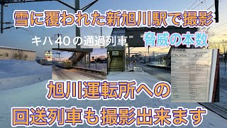 【冬の北海道で撮影】JR北海道新旭川駅にて撮影！営業列車より回送列車の方が多く撮影出来ました。