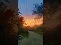 New nature short video #beautiful #sunset #trending #amazing #nature #shortsvideo #youtubeshorts