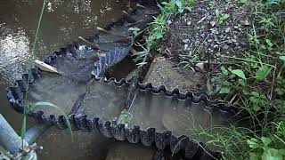 川と田んぼをむすぶ　生き物が行き来する水田魚道