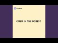 Cold in the Forest