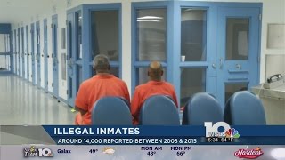 Virginia jails housing thousands living in US illegally