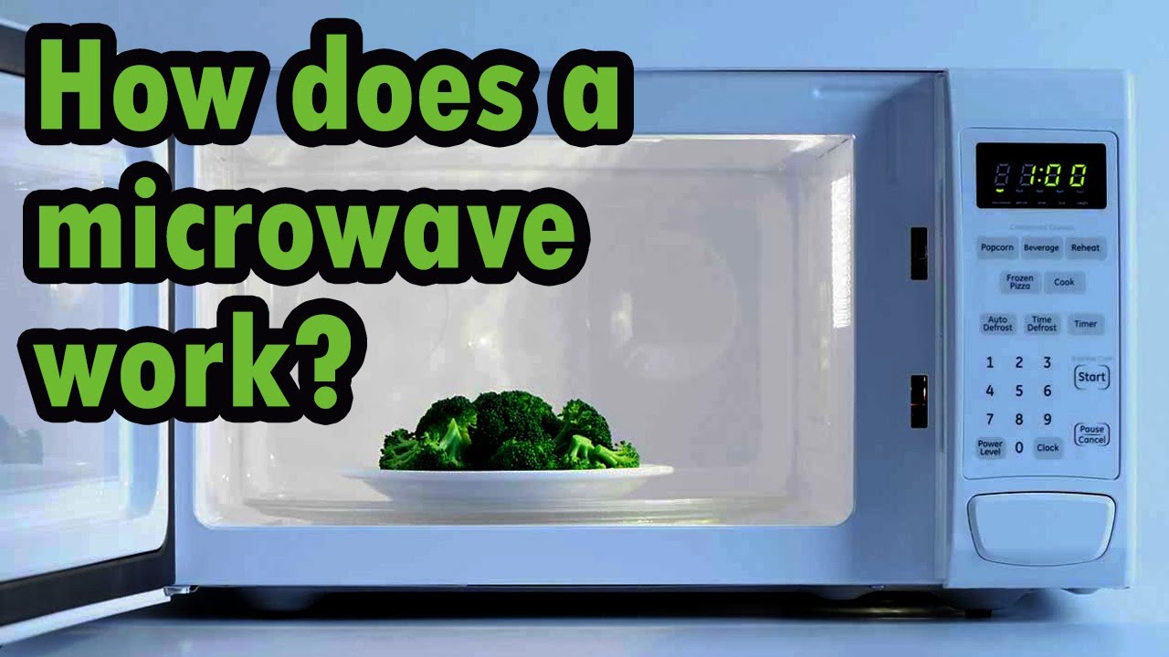 How Do Microwaves Work Science At Summer Franklin Blog