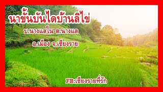 ทริปเที่ยว นาขั้นบันไดบ้านลิไข่ นางแลใน อ.เมือง จ.เชียงราย