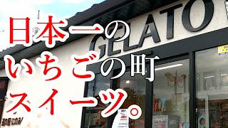 栃木のスイーツスポット！いちごのジェラート・ソフトクリームがこんなにリーズナブルでめちゃくちゃ美味い！道の駅にのみや スイーツ工房 GELATO【真岡市久下田】