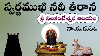 స్వర్ణముఖి నది తీరాన శ్రీ నీలకంఠేశ్వర ఆలయం | swarnamukhiriver | naidupeta | oldtemples | lordshiva