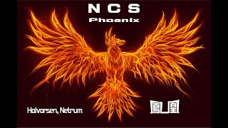 #nocopyrightsounds #copyrightfree #NCS #Phoenix #鳳凰  Netrum & Halvorsen - Phoenix [NCS Release]