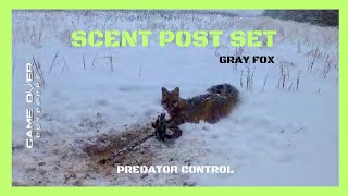 Scent Post Set | Gray Fox | Predator Control