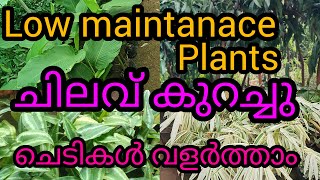 വളരെ ചിലവ് കുറച്ചു വളർത്താൻ കഴിയുന്ന ചെടികൾ മരങ്ങൾ #Lowmaintanace #plants