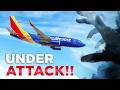 Southwest Airlines Under Activist ATTACK!