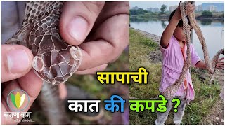 Myths About Snake Shades Skin. सापाच्या कातीचे रहस्य. #snake #sagunabaug