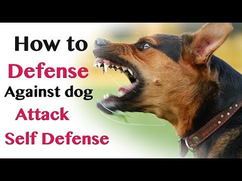 How to Defend against Dog Attack - Self Defence How to Defend against Dog Attack - Self Defence
