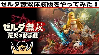 ドイヒーさんのダラダラゲーム実況「ゼルダ無双 厄災の黙示録・体験版・Nintendo Switch」