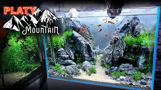 Aquascape Tutorial: PLATY FISH Mountain Aquarium (How To: Step by Step Planted Tank Guide)