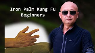 Kung Fu Beginners: Learn Iron Palm Kung Fu from Basics in 2020 - Training by Master Yunkuo Wang