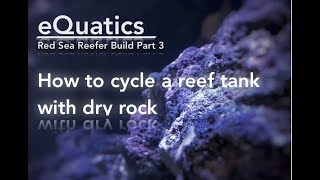 How to Cycle a Reef Tank with Dry Rock - Red Sea Reefer Build Part 3