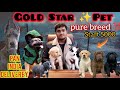 Best & Cheapest Price Dogs Breed in Delhi | Gold Star Pet Shop 🐕| Deal in all dog | Special off 😱