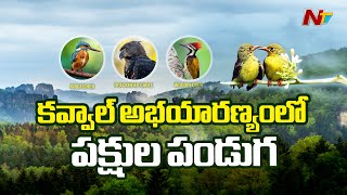 Adilabad: కవ్వాల్‌ టైగర్‌ రిజర్వ్‌ అటవీ ప్రాంతంలో బర్డ్‌ వాక్‌ ఫెస్టివల్‌ | Ntv