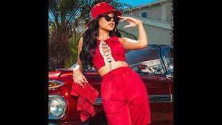 Topic & Becky G song Sorry Papi English translation.