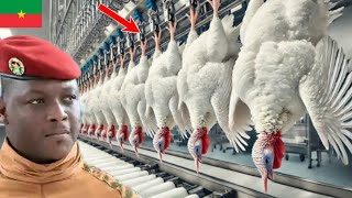 Burkina Faso : L'Inauguration de la Plus Grande Usine de Production de Poulet !