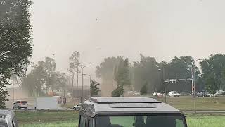 Windhoos blaast bomen omver in Dordrecht