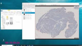 QuPath: Quick Tutorial