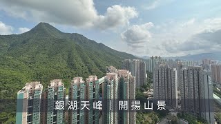 烏溪沙銀湖天峰 3座高層E室｜兩房 565尺｜開揚山景｜內園池景｜放賣