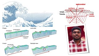 நடுக்கியல்|உடலக அலைகள்|P அலை| S அலை| மேற் பரப்பலைகள்| லவ் அலை| றேலி அலை| சுனாமி அலைகள்