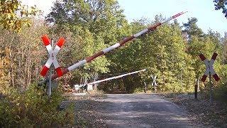 Spoorwegovergang Holzdorf (D) // Railroad crossing // Bahnübergang