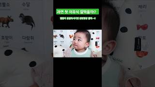 (D+179일) 드디어 우유말고 이유식 도전!!  과연 잘 먹을까요..?! #baby #shorts #이유식먹방